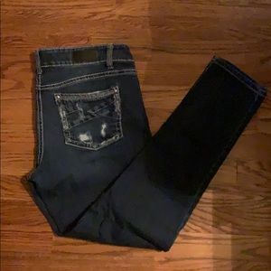 DayTrip Virgo Skinny Jeans